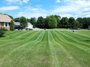 Mankato MN Lawn Mowing