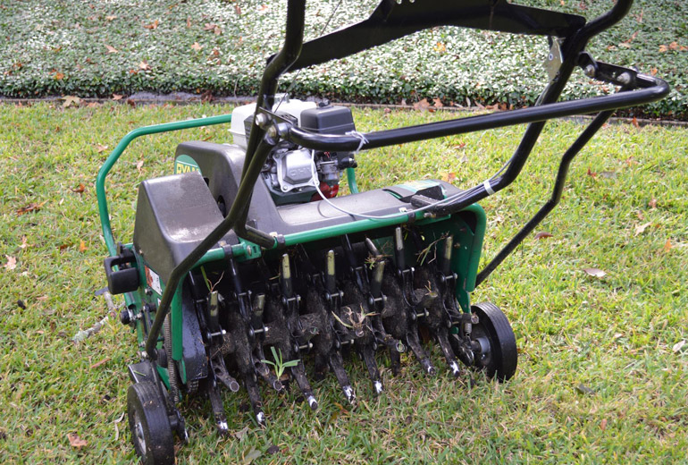 Lawn Aeration